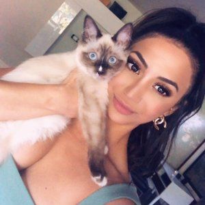 Meet your Posher, Sisian